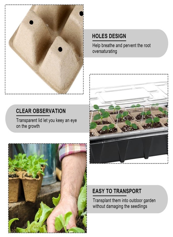 Aodaer 4 Pack Peat Pots for Seedlings Seed Starter Kit with Plastic Growing Trays, Paper Seedling Cups,Tool, Plant Labels,Germination Tray Seed Starter Tray for Vegetables, Herbs - Image 3