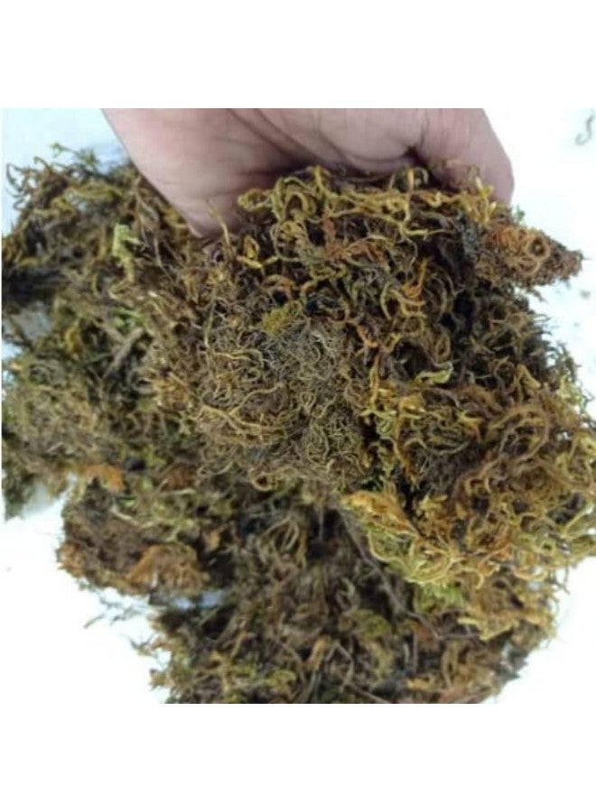 CAPPL Dry Sphagnum Moss 1 Kg : for Plants, Aquarium Garden, Stuffed Sticks Grass, Healthy Plant Growth and Moisture Retention Ideal for Plants & Aquariums(1 Kg) - Image 2