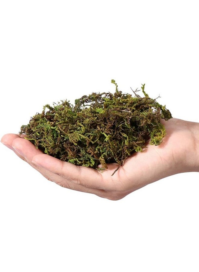 CAPPL Dry Sphagnum Moss 1 Kg : for Plants, Aquarium Garden, Stuffed Sticks Grass, Healthy Plant Growth and Moisture Retention Ideal for Plants & Aquariums(1 Kg) - Image 4