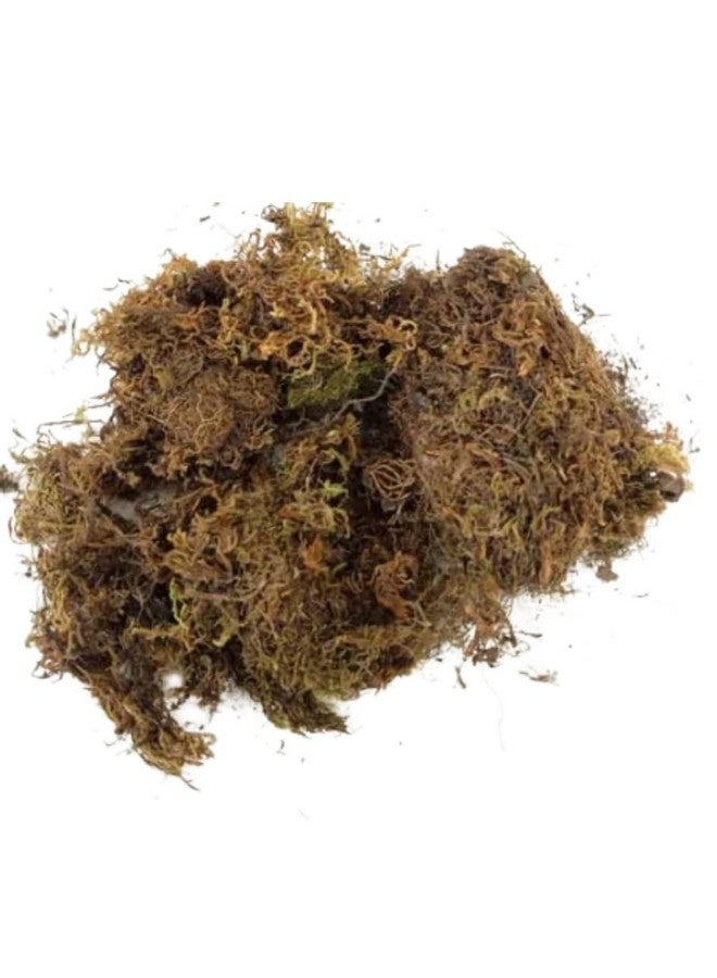 CAPPL Dry Sphagnum Moss 1 Kg : for Plants, Aquarium Garden, Stuffed Sticks Grass, Healthy Plant Growth and Moisture Retention Ideal for Plants & Aquariums(1 Kg) - Image 3