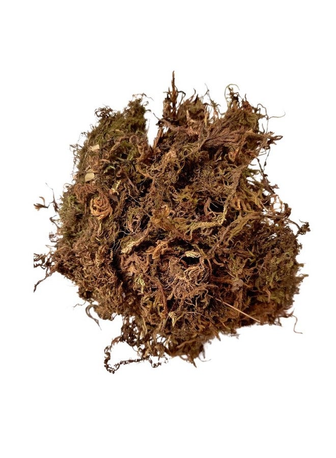 CAPPL Dry Sphagnum Moss 1 Kg : for Plants, Aquarium Garden, Stuffed Sticks Grass, Healthy Plant Growth and Moisture Retention Ideal for Plants & Aquariums(1 Kg) - Image 1