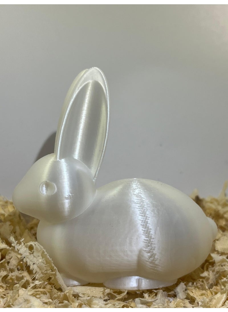 Epm3d Rabbit(Made from Organic Plastic)  - Image 3
