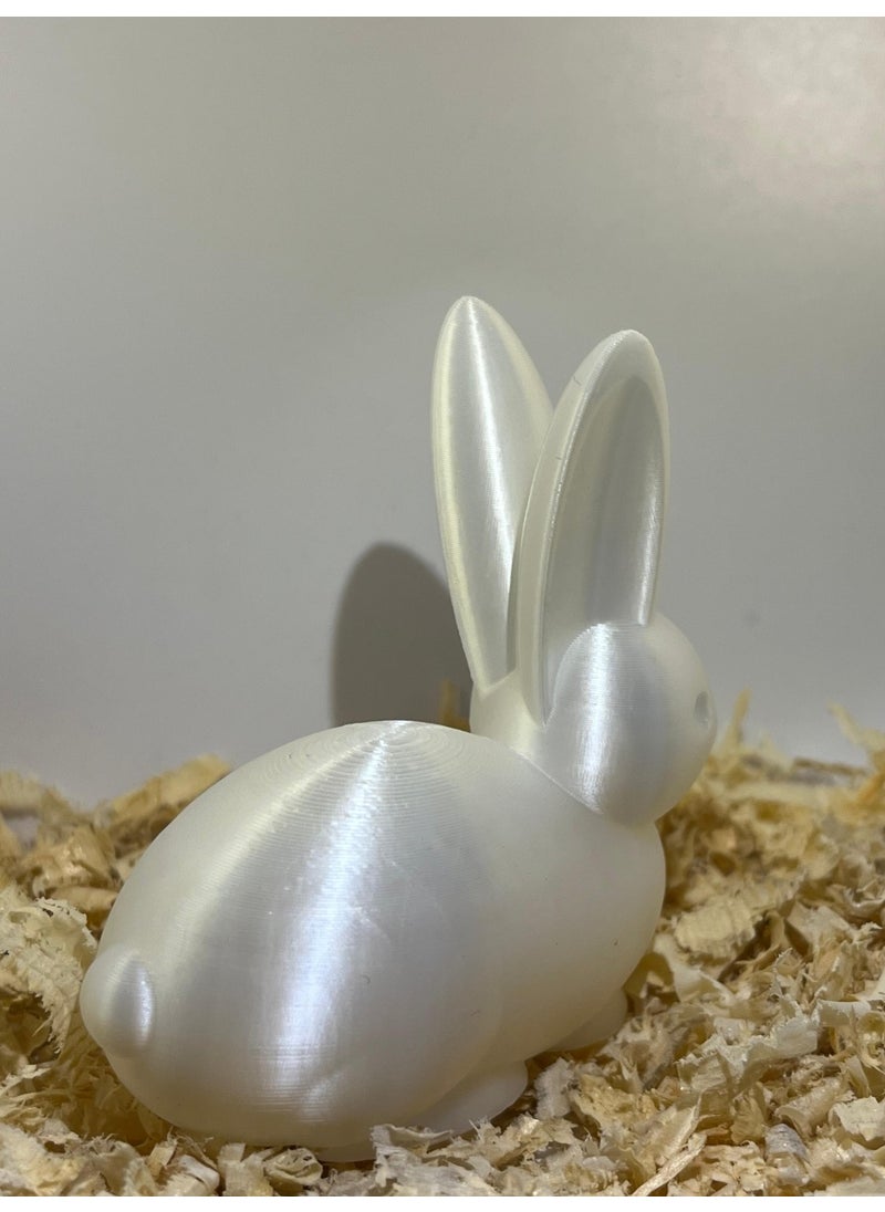 Epm3d Rabbit(Made from Organic Plastic)  - Image 2