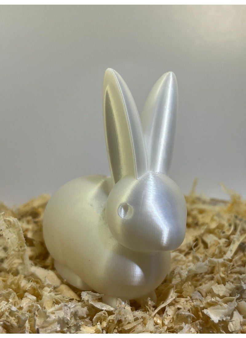 Epm3d Rabbit(Made from Organic Plastic)  - Image 1