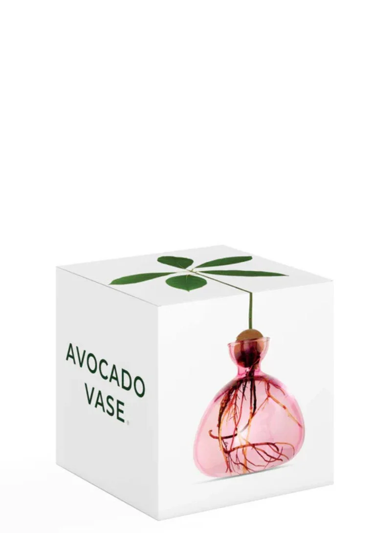 آيليكس ستوديو مزهرية أفوكادو باللون الوردي الوردة