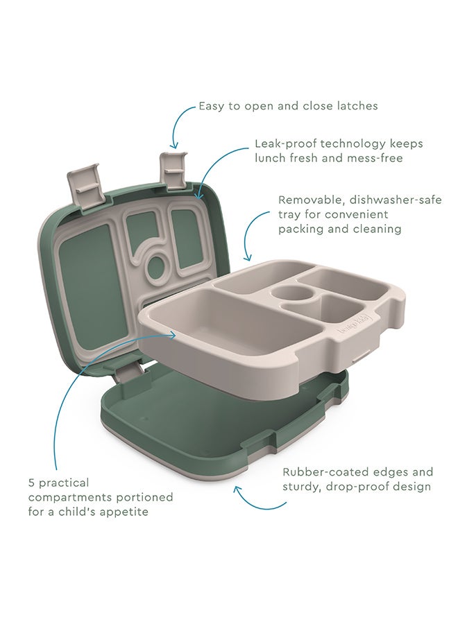 Bentgo Kids Prints Lunch Box - Dino Fossils - Image 4