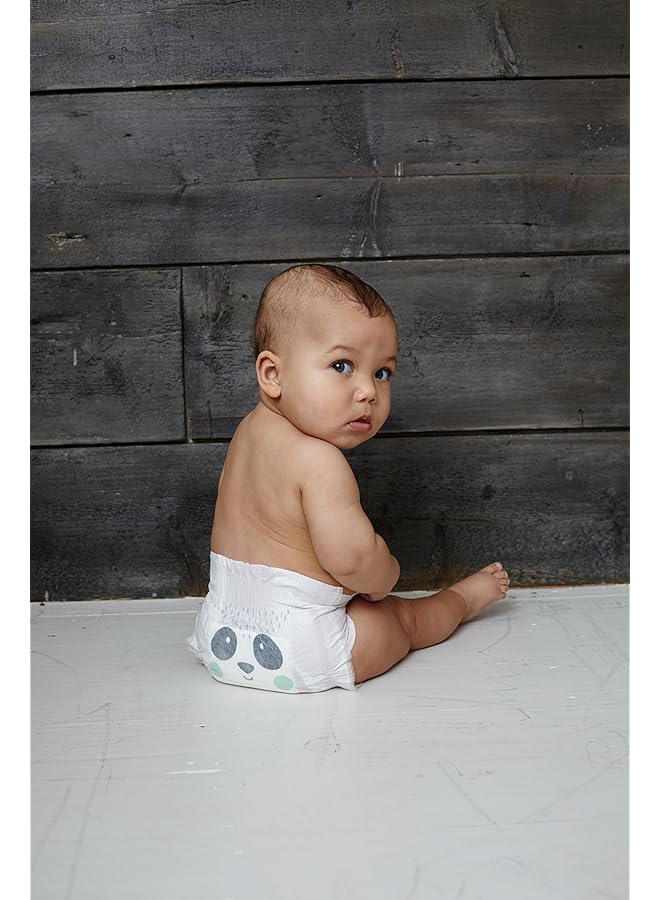 Kit & Kin Taped Baby Diapers For New Born Size 1 2 6Kg Flash Dry With Superior Leak Protection Ultimate - Image 2