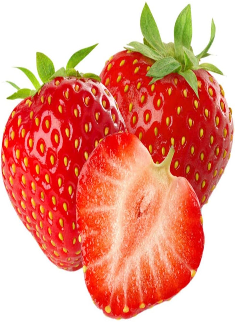 GGOOT - 200pcs Red Strawberry Seeds Garden Balcony Plants Good decorative effect high economic value exotic juicy fruit easy management - Image 1