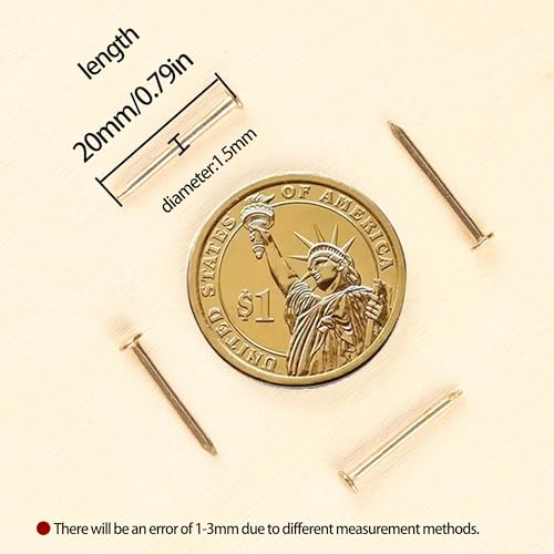 newlng 500PCS Small Nail Round Head Tiny Nails String Art Nails Hand-Made Hardware Accessories Fasteners Mini Nail 1.5mm X 20mm/0.06"X0.8"(DXL) Golden - Image 2