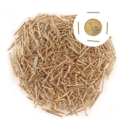 newlng 500PCS Small Nail Round Head Tiny Nails String Art Nails Hand-Made Hardware Accessories Fasteners Mini Nail 1.5mm X 20mm/0.06"X0.8"(DXL) Golden - Image 1