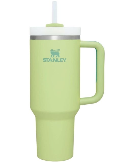 Stanley Quencher H2.0 FlowState Stainless Steel Vacuum Insulated Tumbler with Lid and Straw for Water, Iced Tea or Coffee,Citron,40oz/1180ml
