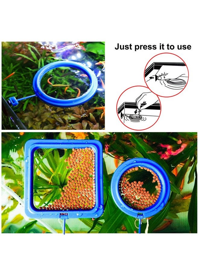 Molain Molain Fish Feeding Ring, 2 Pieces Fish Feeder Aquarium Fish Turtle Tank Accessories Food Feeder Circle for Guppy, Bettas, Goldfish, Turtle (Blue)  - Image 4