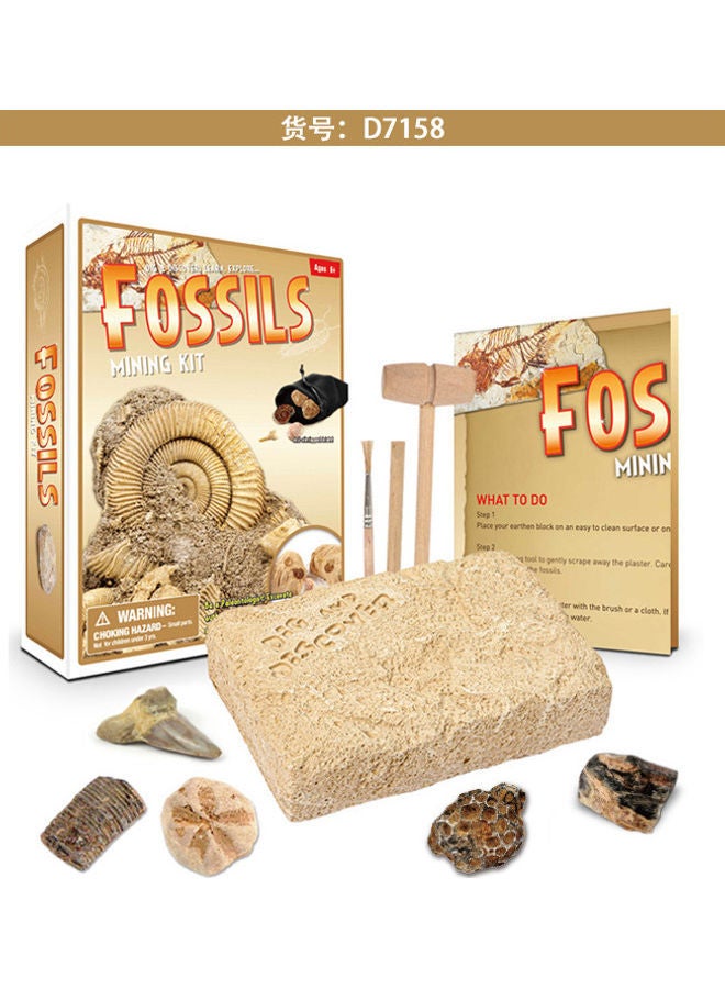 نيبمينينت أحجية تعليمية بتصميم البحث عن الكنز - Image 2