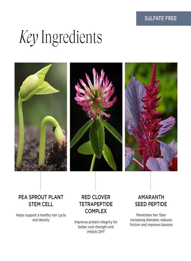 Intelligent Nutrients Pure Plenty Shampoo, Clarifies and Fortifies Fine, Thinning Hair, Organic Scalp-Stimulating Formula, Vegan, 8.5 Oz - Image 4