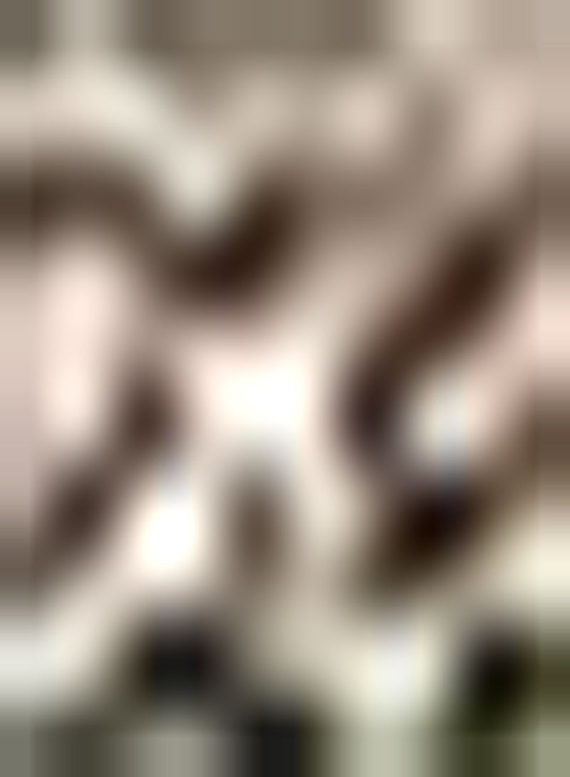 جي جوت 10 قطعة من Tulpenbollen Ingemaakte Heirloom Bloembollen Heldere Kleur Speciale Verscheidenheid Zeer Populair Niet Veel Zorg Nodig Brengen Vreugde للرجال - Image 1