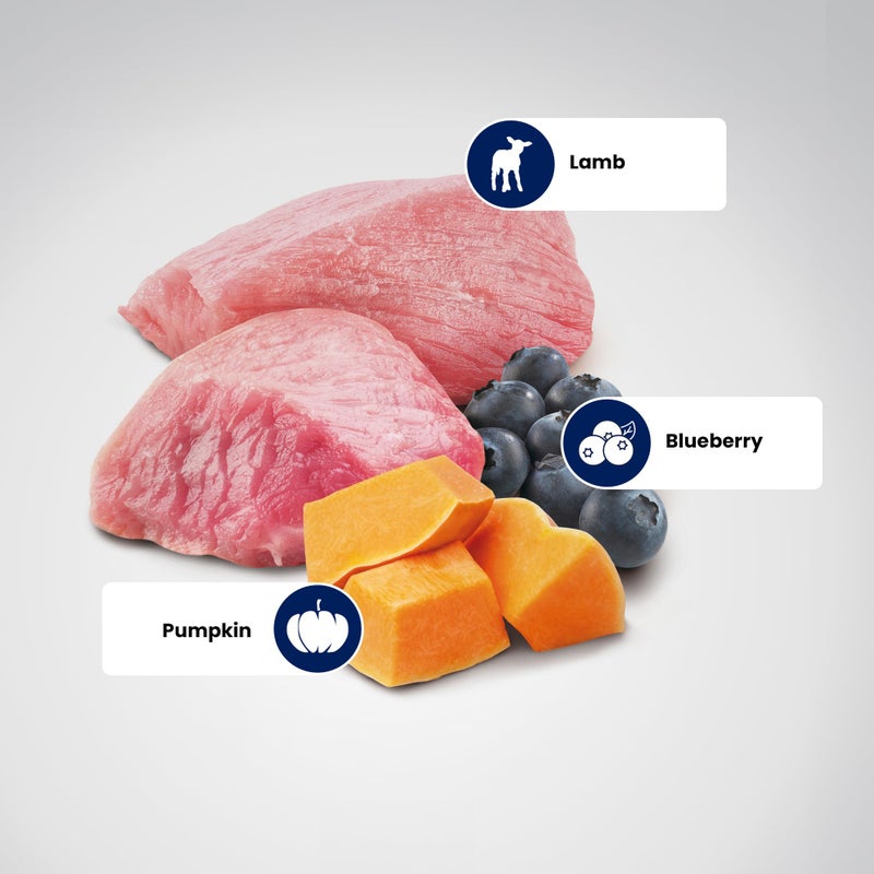 Farmina N&D Pumpkin Puppy Mini Dog Food | Lamb, Blueberry & Pumpkin | Rich in Anti-oxidants|Complete Food for Puppies | 0.8kg | No Artificial Preservatives - Image 4