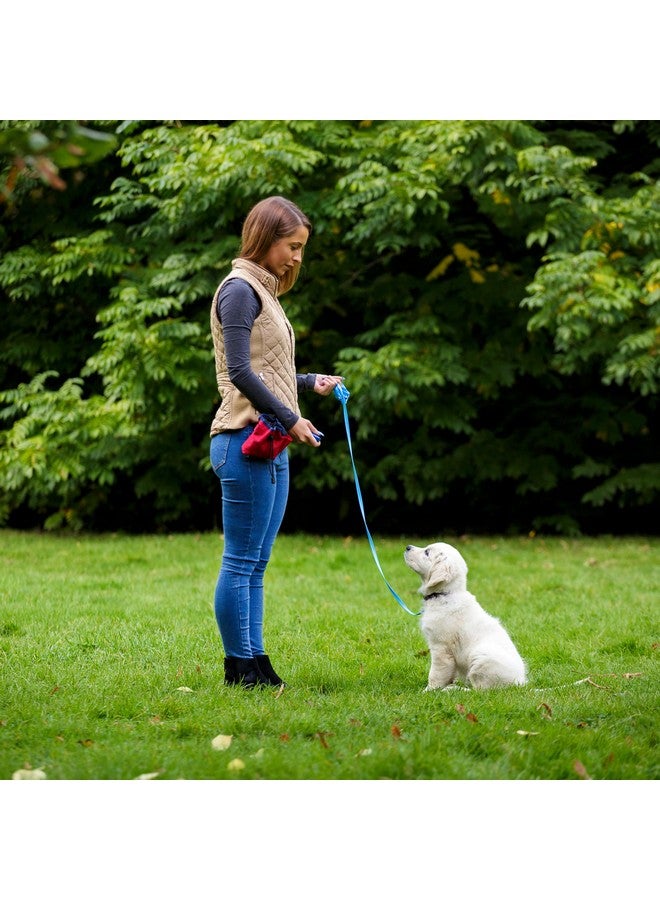 Company of Animals Multi-Clicker, Adjustable Volume, Loud and Quiet Clicks, Easy to Click, Wrist Strap, For all Dogs Including Sensitive Dogs and Puppies - Image 3