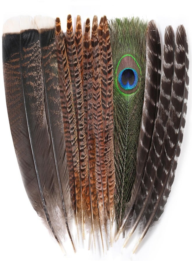 Ballinger Large Natural Pheasant Feathers - 8-12inch 4 Styles 15Pcs Assorted Craft Feathers Bulk,Peacock Pheasant Turkey Feather for Crafting Vase Hat Wedding Autumn Party Decor - Image 1