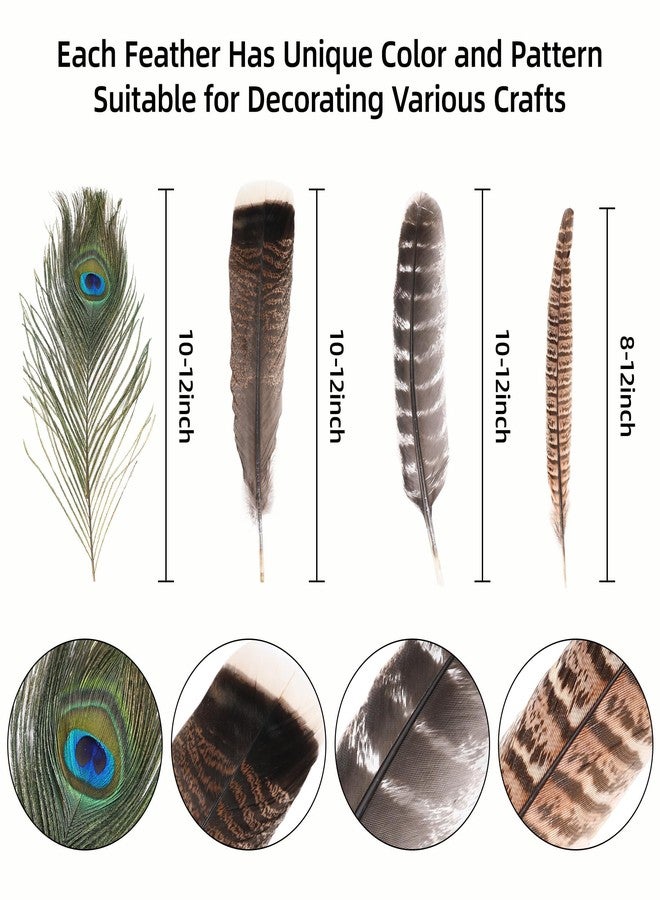 Ballinger Large Natural Pheasant Feathers - 8-12inch 4 Styles 15Pcs Assorted Craft Feathers Bulk,Peacock Pheasant Turkey Feather for Crafting Vase Hat Wedding Autumn Party Decor - Image 5
