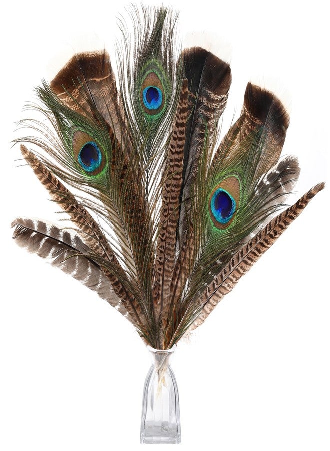 Ballinger Large Natural Pheasant Feathers - 8-12inch 4 Styles 15Pcs Assorted Craft Feathers Bulk,Peacock Pheasant Turkey Feather for Crafting Vase Hat Wedding Autumn Party Decor - Image 2