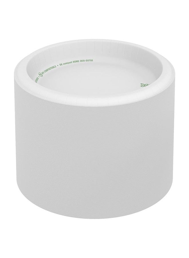 Dixie Basic Paper Plates, White - Image 3