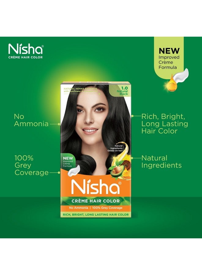 نيشا كريم نيشا لتلوين الشعر 1 أسود طبيعي (60 جم + 60 مل + 18 مل بلسم نيشا بالأعشاب الطبيعية لتغطية الشعر الرمادي بنسبة 100%) - Image 3