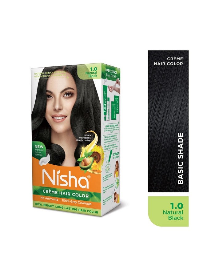 نيشا كريم نيشا لتلوين الشعر 1 أسود طبيعي (60 جم + 60 مل + 18 مل بلسم نيشا بالأعشاب الطبيعية لتغطية الشعر الرمادي بنسبة 100%) - Image 2