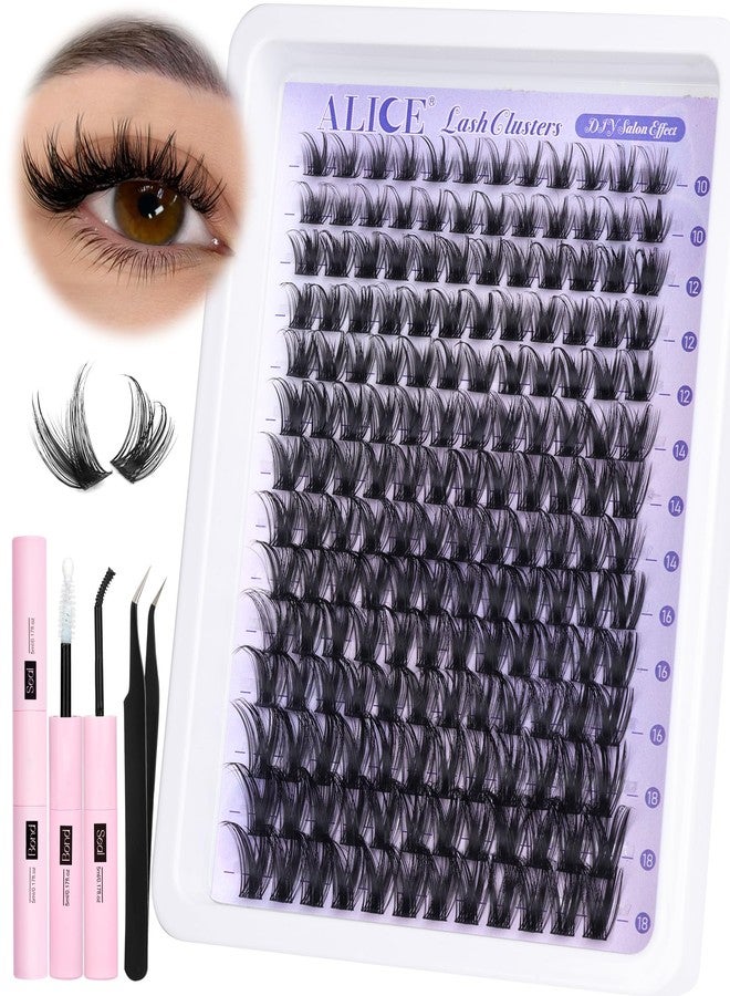 ALICE Lash Clsusters Kit Wispy Cluster Eyelash Extension Kit 168pcs 10-18mm Natural Lash Extension Kit Thin Band Individual Lashes Kit with Lash Glue Bond and Seal DIY at Home - Image 2
