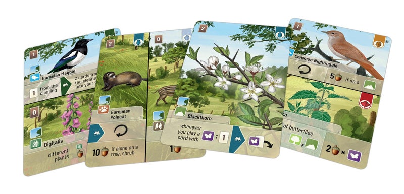 Lookout Forest Shuffle Woodland Edge Card Game Expansion - 36 New Species & Trees for Enhanced Gameplay! Strategy Game for Kids & Adults, Ages 10+, 2-5 Players, 60 Min Playtime, Made Games - Image 2