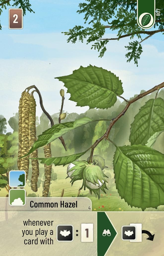 Lookout Forest Shuffle Woodland Edge Card Game Expansion - 36 New Species & Trees for Enhanced Gameplay! Strategy Game for Kids & Adults, Ages 10+, 2-5 Players, 60 Min Playtime, Made Games - Image 3
