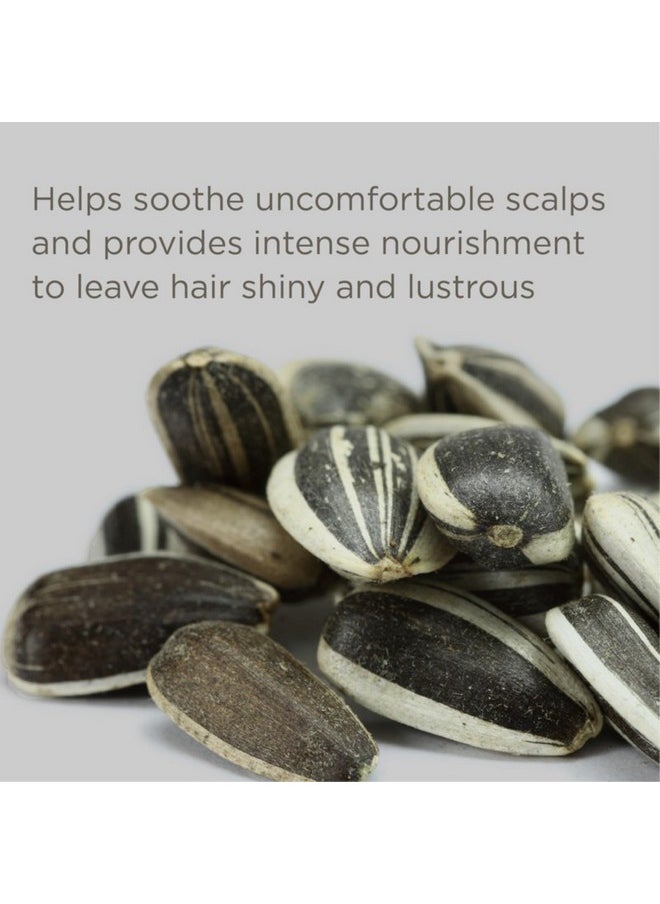 Hairitage - Down To The Basics Fragrance-Free Conditioner Formulated With Chamomile + Sunflower Seed Oil - Ultra-Mild + Moisture Rich - For Sensitive Scalps - No Artificial Perfumes, 13 Oz - Image 1