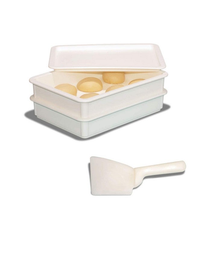 THW® Plastic Multi-Purpose Bread Pizza Pastry Cookie Dough Scraper Cutter Chopper with Handle- Bench Scraper - Image 5