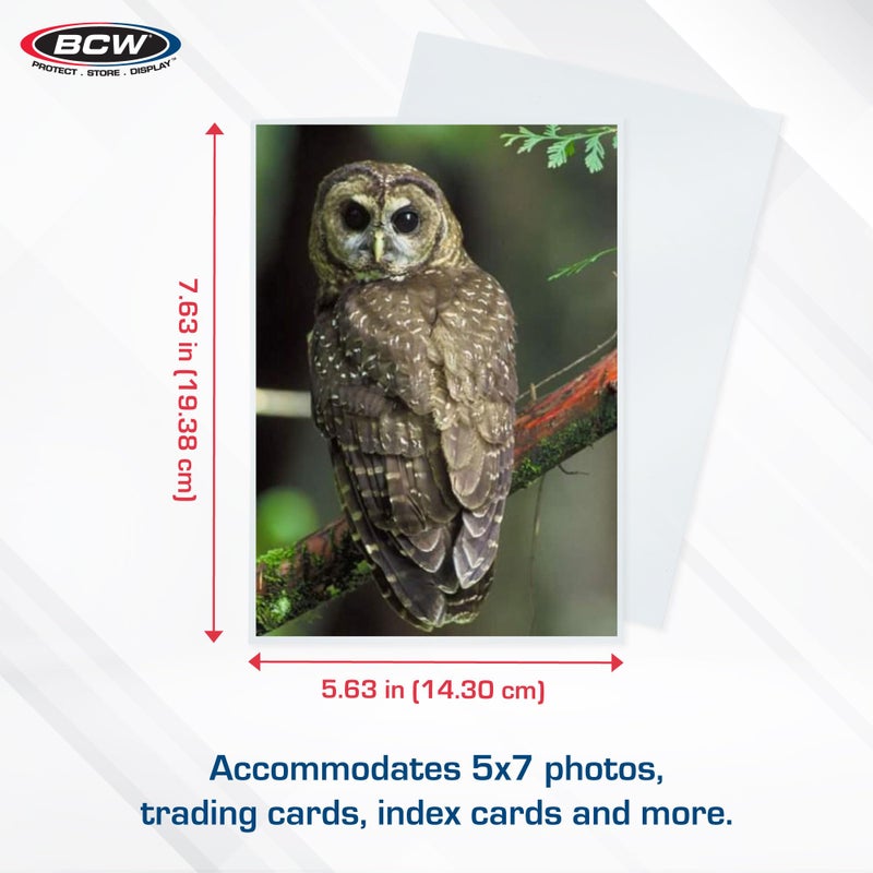 BCW 5x7 Photo Sleeves â€“ 100 ct | Acid Free, No PVC | Soft Clear Plastic Photo Sleeves | Archival Quality | Fits 5x7 Photos & BCW 5x7 Toploaders - Image 3