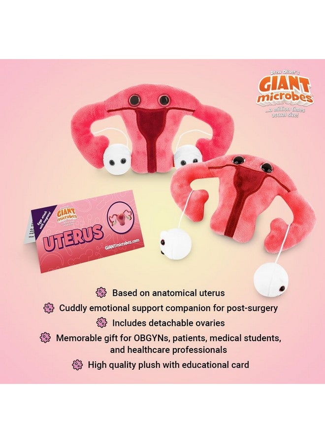 Giant Microbes لعبة قماشية على شكل رحم من GIANTmicrobes، هدايا لاستئصال الرحم، توعية بطانة الرحم، هدايا نسوية، هدايا الخصوبة، هدايا الشفاء - Image 3