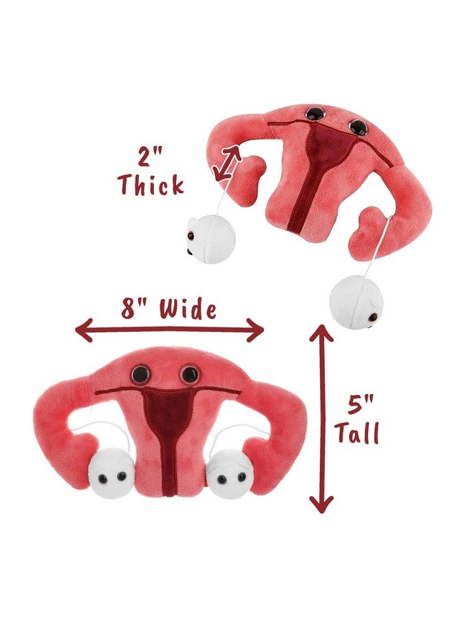 Giant Microbes لعبة قماشية على شكل رحم من GIANTmicrobes، هدايا لاستئصال الرحم، توعية بطانة الرحم، هدايا نسوية، هدايا الخصوبة، هدايا الشفاء - Image 5