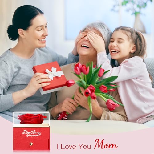 WILDLOVE Preserved Real Red Rose with Mom Necklace - Gifts for Mothers Day, Christmas, Birthday Gifts for Mom - Long Lasting Forever Flowers Best Presents for Moms - Image 5