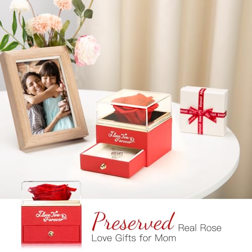 WILDLOVE Preserved Real Red Rose with Mom Necklace - Gifts for Mothers Day, Christmas, Birthday Gifts for Mom - Long Lasting Forever Flowers Best Presents for Moms - Image 4