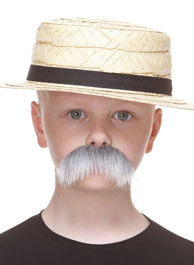 Mustaches Self Adhesive, Novelty, Small Walrus Fake Mustache, Gray with White Color - Image 3