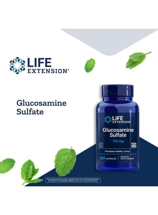 Life Extension Glucosamine Sulfate Glucosamine Supplement For Knee Comfort & Joint Health Support Nongmo Glutenfree 60 Capsules - Image 3