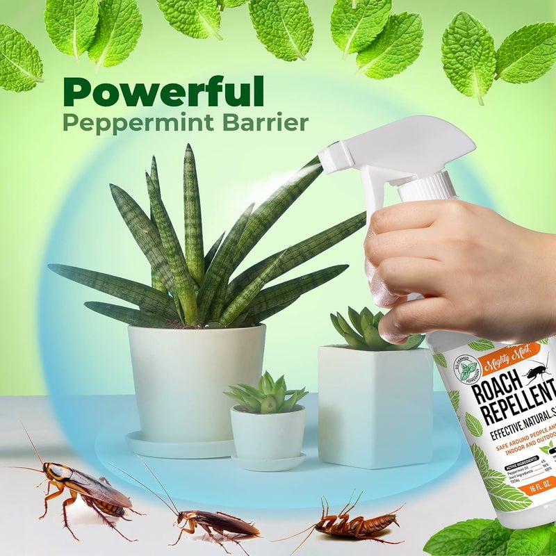 Mighty Mint Peppermint Oil Roach Repellent Spray – Natural Cockroach Killer for Indoor & Outdoor Use – Plant-Based Insect & Pest Control – 16 oz - Image 3