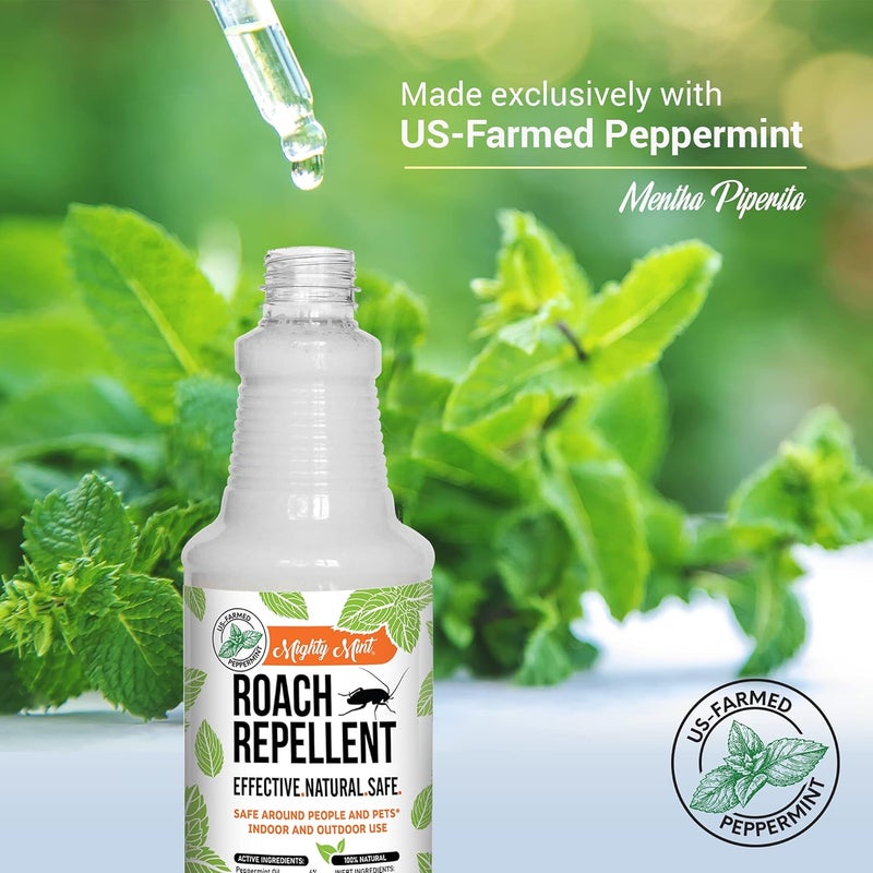 Mighty Mint Peppermint Oil Roach Repellent Spray – Natural Cockroach Killer for Indoor & Outdoor Use – Plant-Based Insect & Pest Control – 16 oz - Image 4
