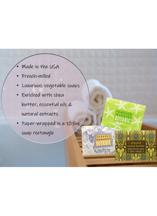 Set Of Two 10.5 Oz Shea Butter Soap Bars (Organic Oatmeal) - pzsku/ZC40EAAF92971C6C9B65EZ/45/_/1707975647/84c47325-83e9-46dc-b873-c3bad6e1eeb7