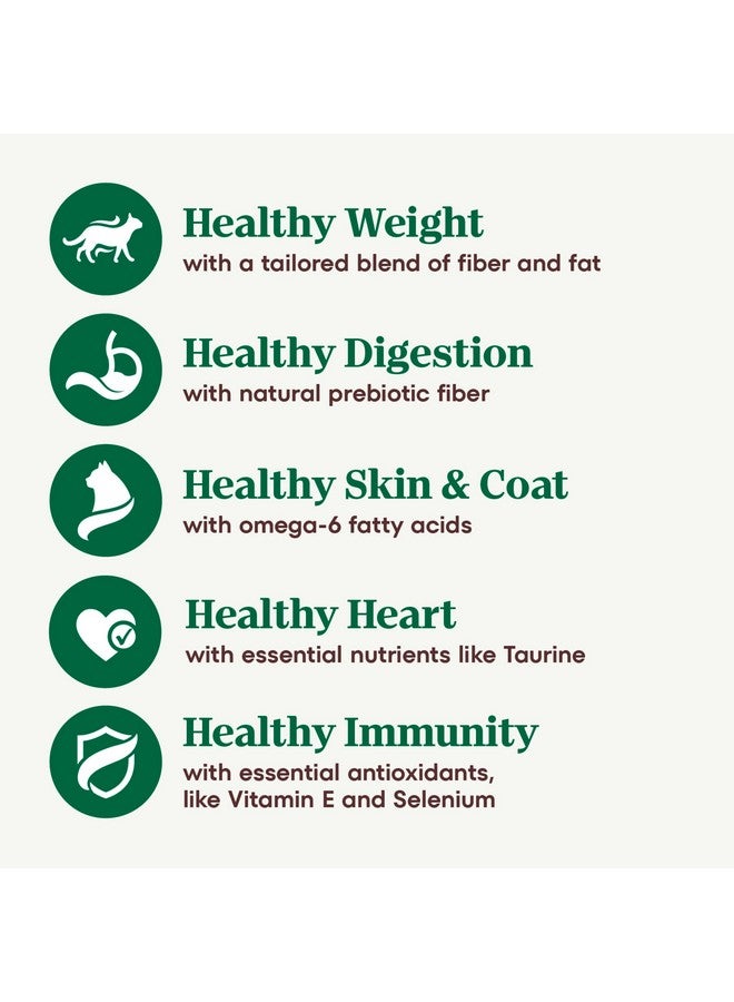 Nutro Wholesome Essentials Indoor Dry Cat Food, Chicken & Brown Rice Recipe, 3 lbs. - Image 4