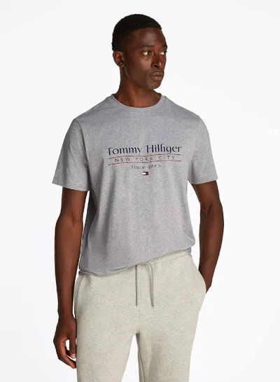 TOMMY HILFIGER Logo Crew Neck T-Shirt