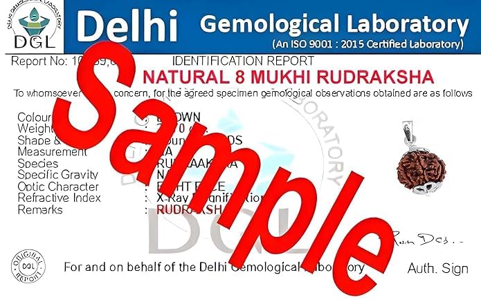 PTM Natural Certified 1/2/3/4/5/6/7/8/9/10/11/Ganesh/Gaurishankar mukhi Astrological Original Nepali Rudraksha 925 BIS Hallmark Sterling Silver Pendant for Men & Women - Image 4