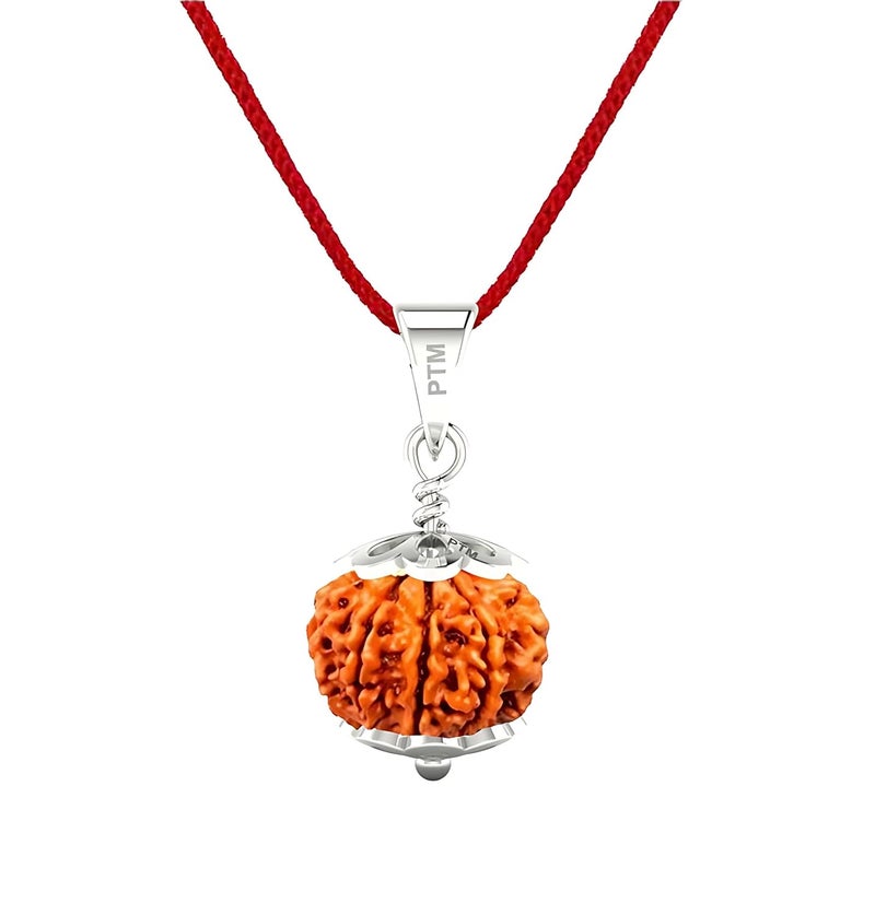 PTM Natural Certified 1/2/3/4/5/6/7/8/9/10/11/Ganesh/Gaurishankar mukhi Astrological Original Nepali Rudraksha 925 BIS Hallmark Sterling Silver Pendant for Men & Women - Image 1