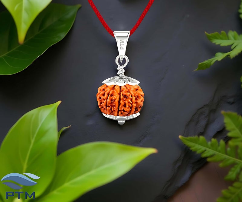 PTM Natural Certified 1/2/3/4/5/6/7/8/9/10/11/Ganesh/Gaurishankar mukhi Astrological Original Nepali Rudraksha 925 BIS Hallmark Sterling Silver Pendant for Men & Women - Image 2