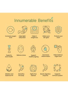 WELLBEING NUTRITION Organic Immunity Booster Kit Daily Greens Wholefood Multivitamin With C, Zinc, B12 15X2 Effervescent Tablets  - Image 3