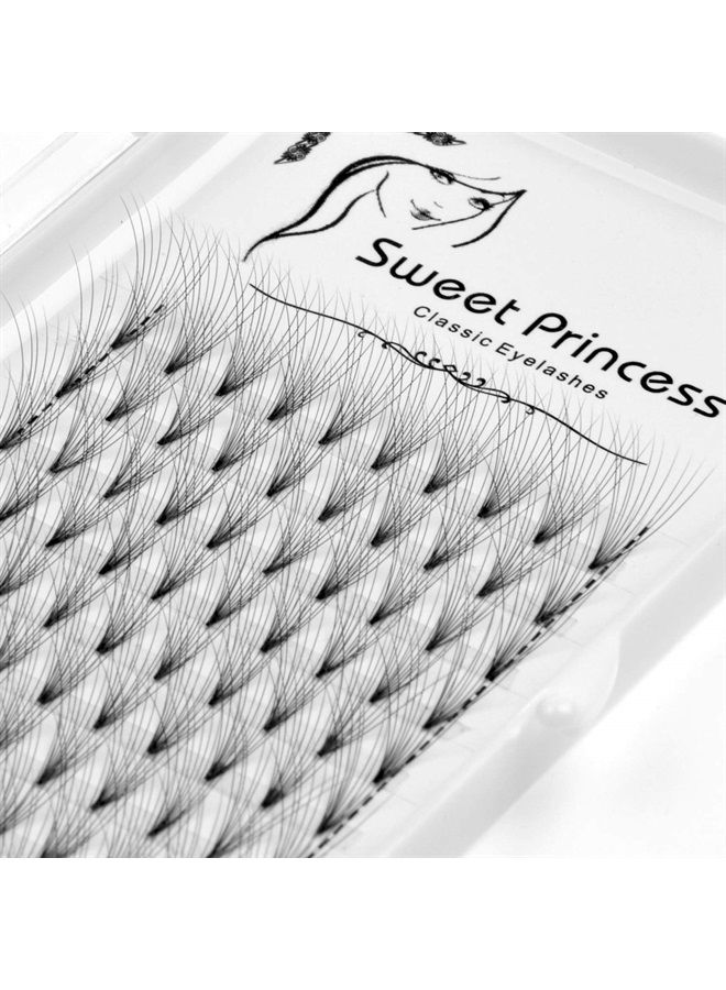 Hannahool 12rows,120pcs 10D Premade Volume Fans Eye Lashes Extensions Thickness 0.07mm D Curl Black Soft Individual False Eyelashes Makeup Fake Lashes Cluster 8-18mm to Choose (13MM) - Image 1