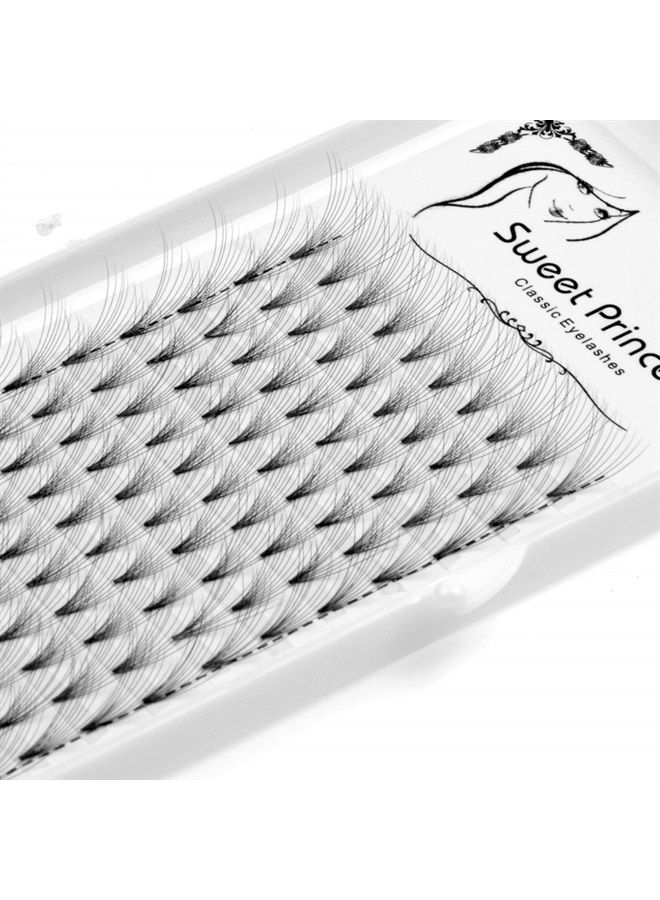 Hannahool 12rows,120pcs 10D Premade Volume Fans Eye Lashes Extensions Thickness 0.07mm D Curl Black Soft Individual False Eyelashes Makeup Fake Lashes Cluster 8-18mm to Choose (13MM) - Image 2